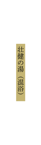 壮健の湯 混浴