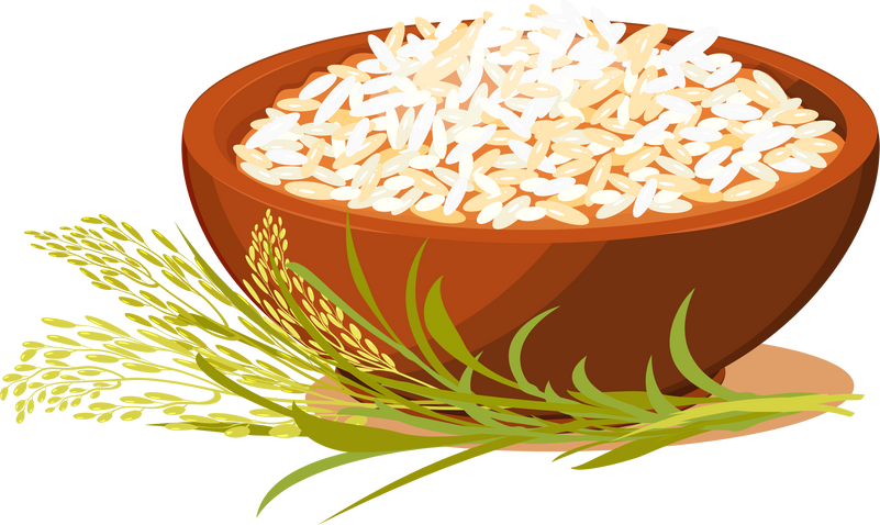 Bowl of Rice